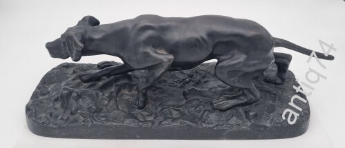 Поинтер. Собака. Касли, 1910 год. Царский.